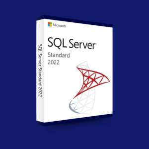 SQL Server 2022 Developer Retail Key (1 PC)