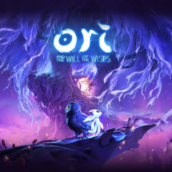 Ori and the Will of the Wisps (PS)