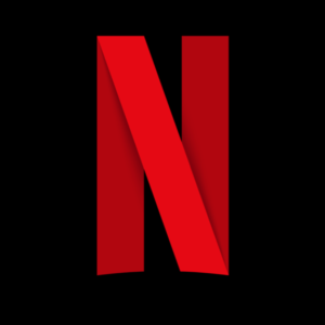 Netflix Subscription - 12 Month Plan